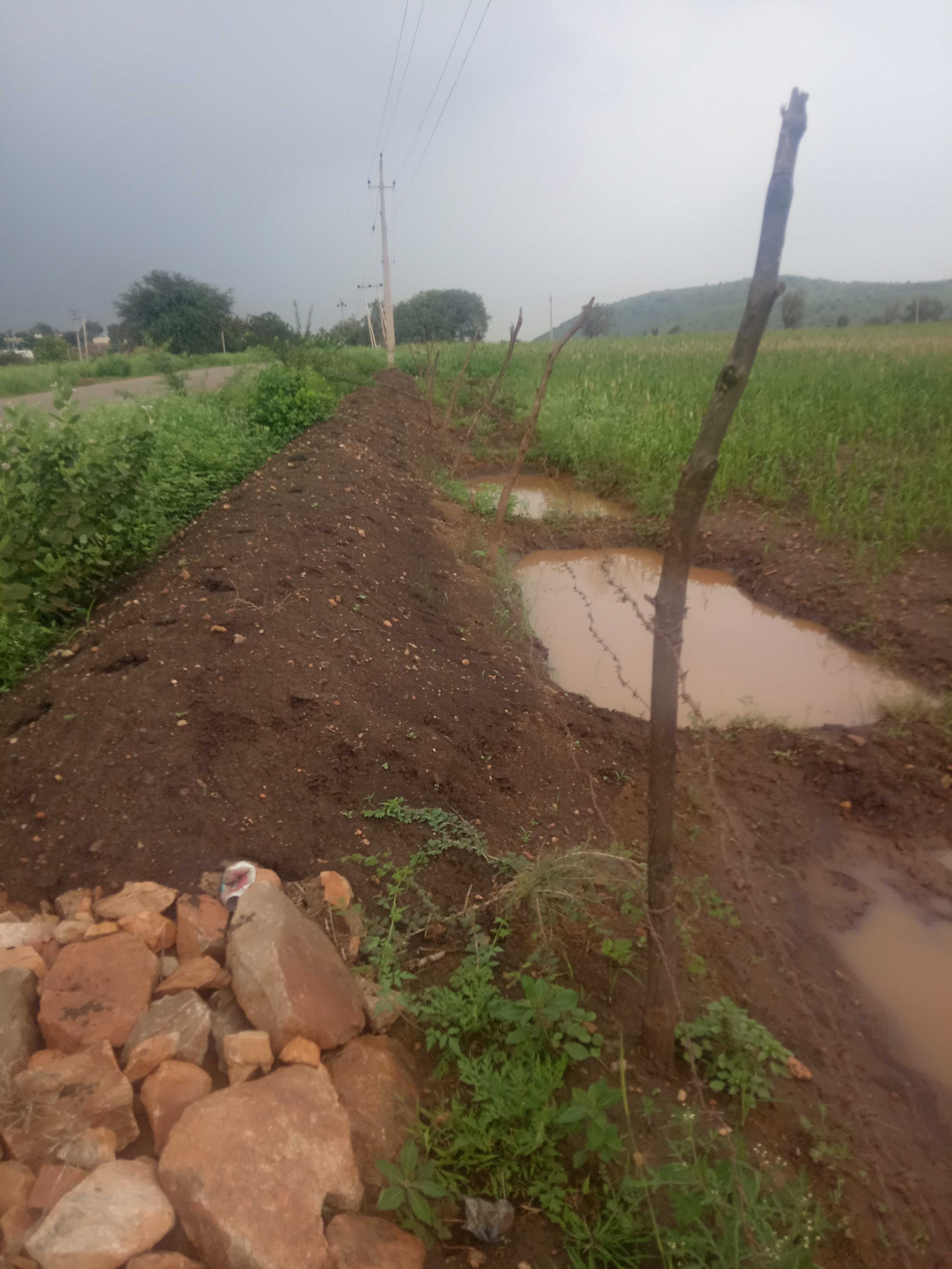 Snapshots of soil management practices deployed - JSW-supported watershed in Bellary (Karnataka) and Jawahar (Maharashtra)